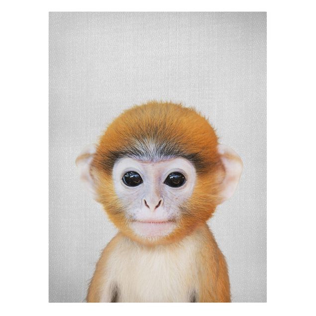 Canvastavlor djur Baby Monkey Anton