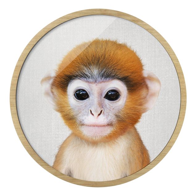 Runde gerahmte Bilder Baby Monkey Anton