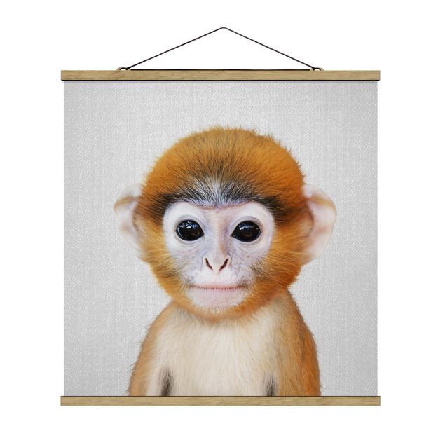 Posters djur Baby Monkey Anton
