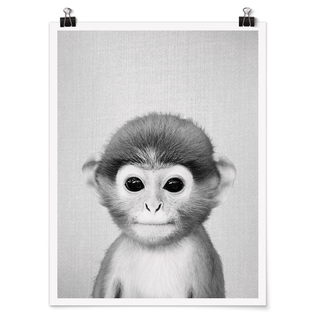 Posters djur Baby Monkey Anton Black And White