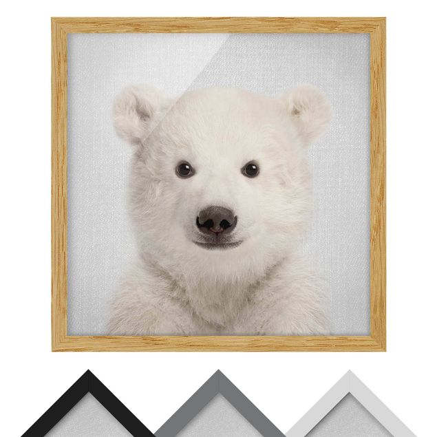 Tavlor svart och vitt Baby Polar Bear Emil
