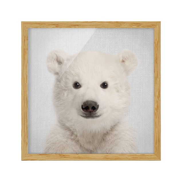 Tavlor med ram djur Baby Polar Bear Emil