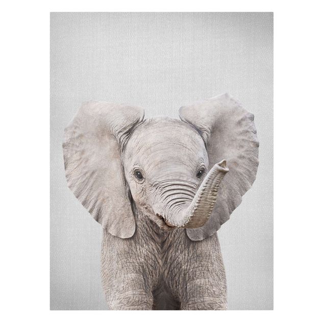 Canvastavlor djur Baby Elephant Elsa