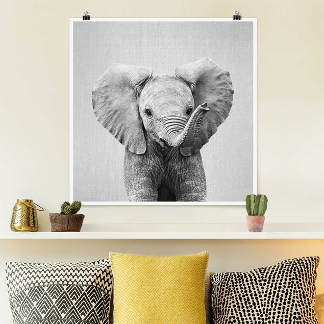 Tavlor elefanter Baby Elephant Elsa Black And White