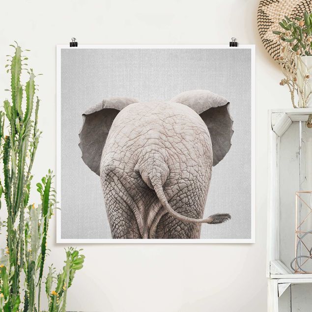 Tavlor elefanter Baby Elephant From Behind