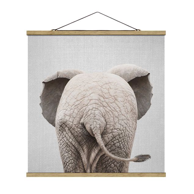 Posters djur Baby Elephant From Behind