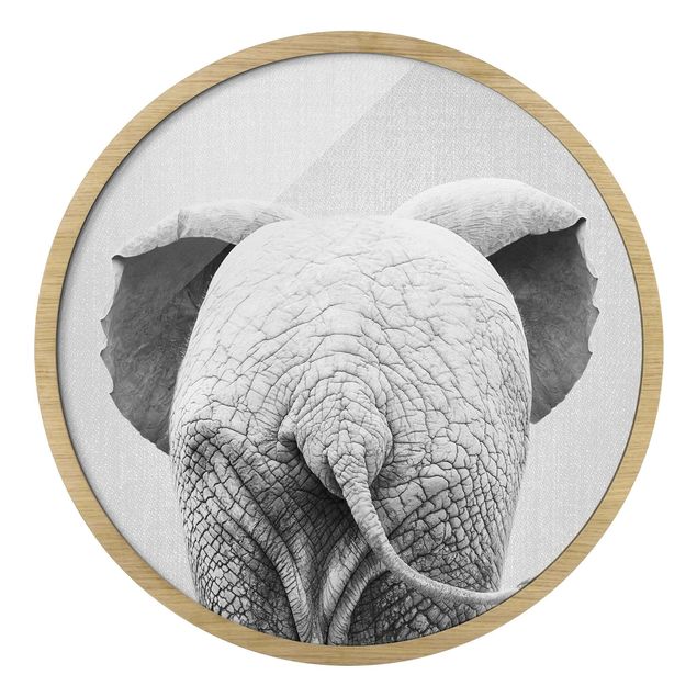 Runde Bilder mit Rahmen Baby Elephant From Behind Black And White