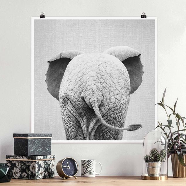 Tavlor elefanter Baby Elephant From Behind Black And White
