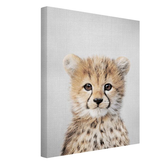 Canvastavlor djur Baby Cheetah Gino