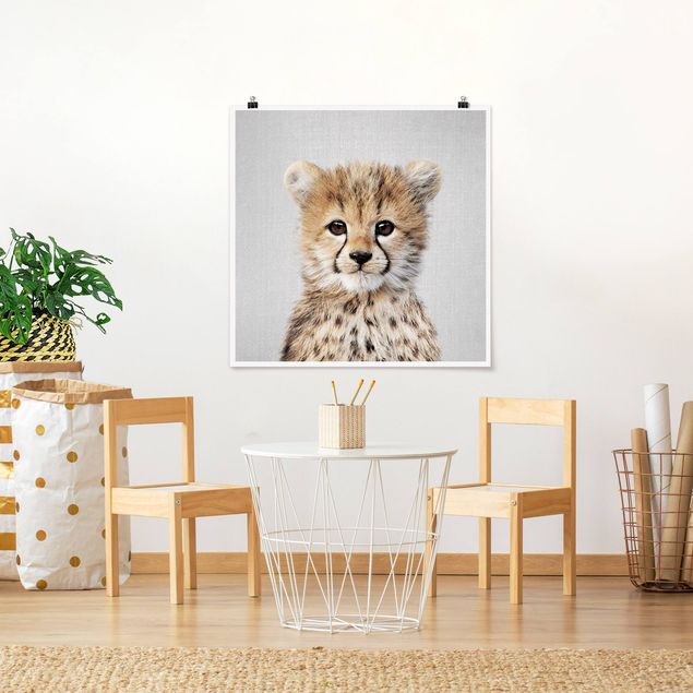 Posters djur Baby Cheetah Gino