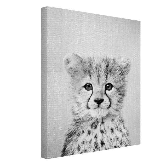 Canvastavlor djur Baby Cheetah Gino Black And White