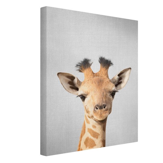 Canvastavlor svart och vitt Baby Giraffe Gandalf