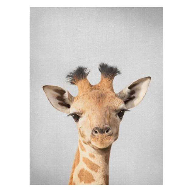 Canvastavlor djur Baby Giraffe Gandalf