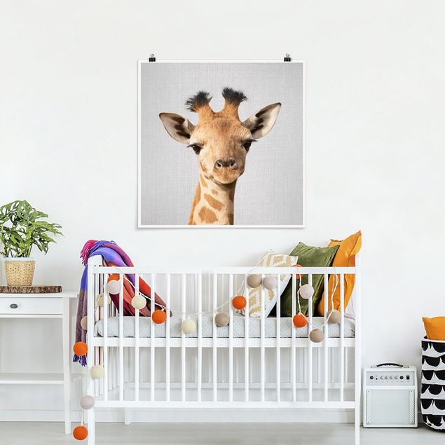 Tavlor giraffer Baby Giraffe Gandalf