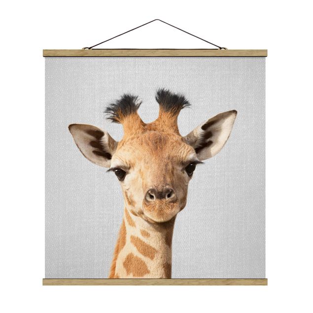 Posters djur Baby Giraffe Gandalf