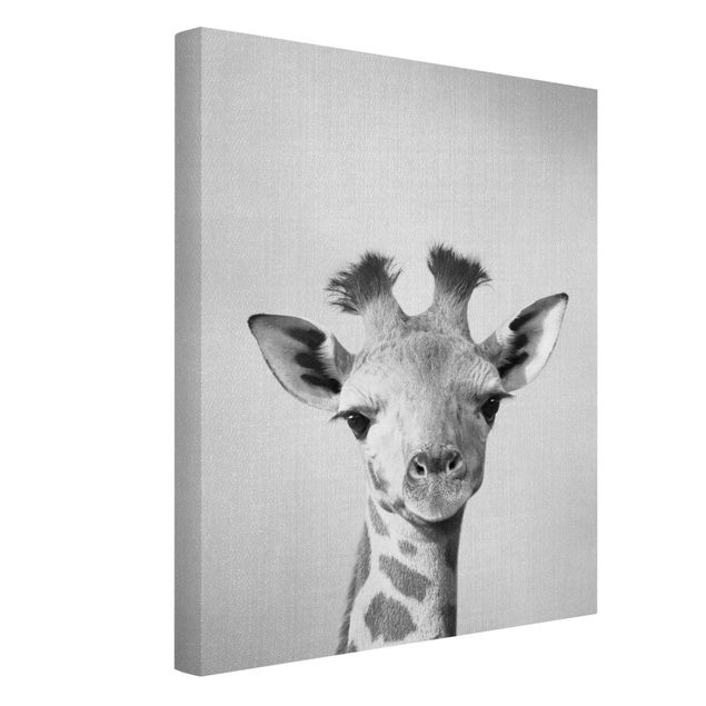 Canvastavlor svart och vitt Baby Giraffe Gandalf Black And White