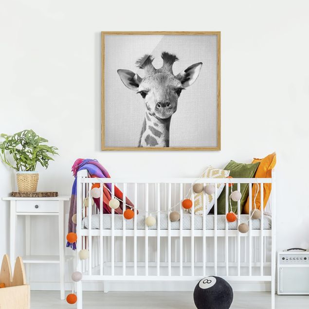 Tavlor med ram svart och vitt Baby Giraffe Gandalf Black And White