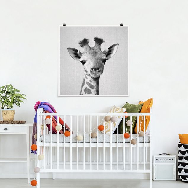Tavlor giraffer Baby Giraffe Gandalf Black And White