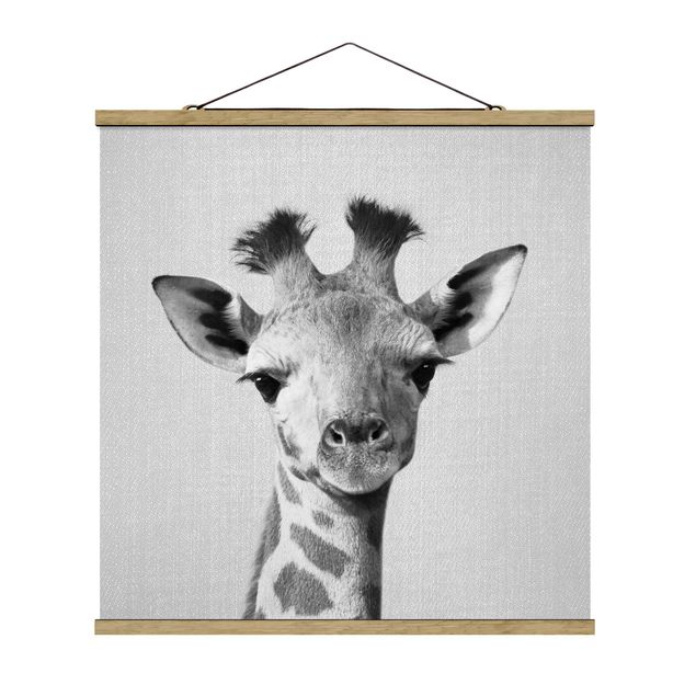 Posters djur Baby Giraffe Gandalf Black And White