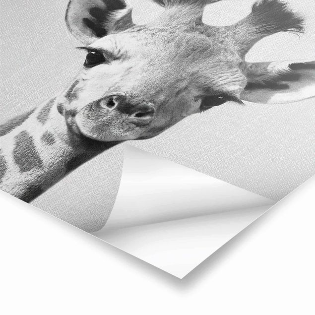 Tavlor Gal Design Baby Giraffe Gandalf Black And White