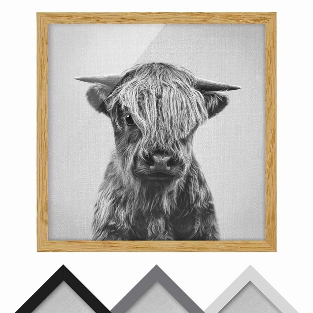 Tavlor Gal Design Baby Highland Cow Henri Black And White