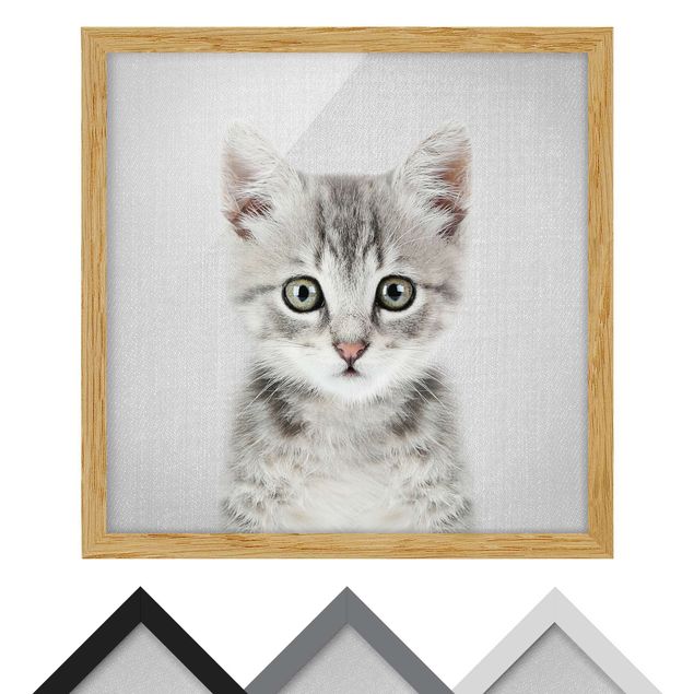 Tavlor svart och vitt Baby Cat Killi