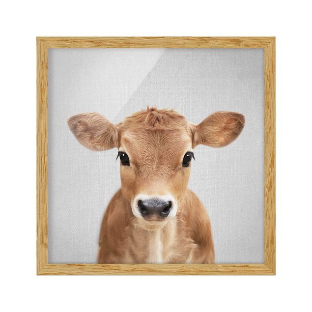 Tavlor modernt Baby Cow Kira
