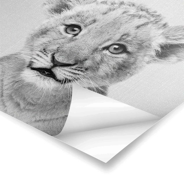 Tavlor Gal Design Baby Lion Luca Black And White