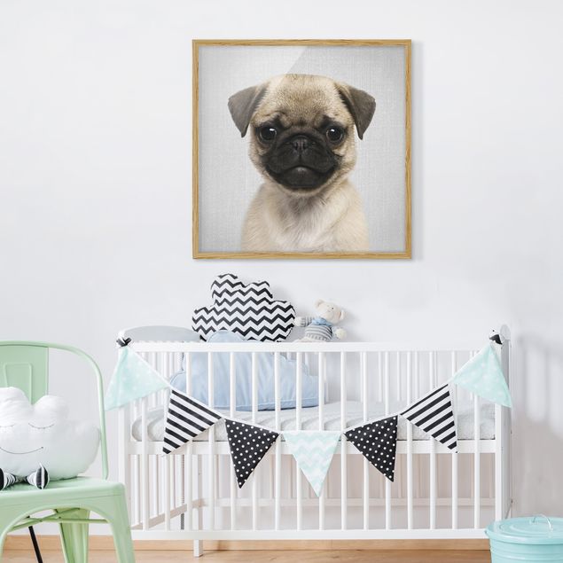 Tavlor med ram svart och vitt Baby Pug Moritz