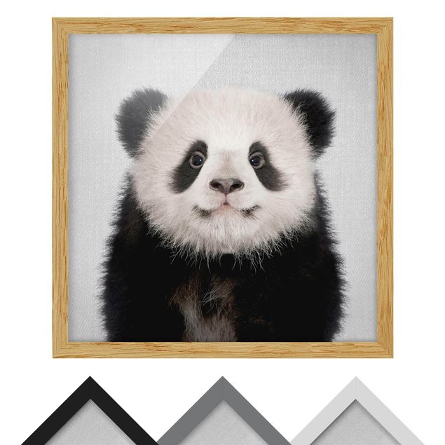 Tavlor svart och vitt Baby Panda Prian