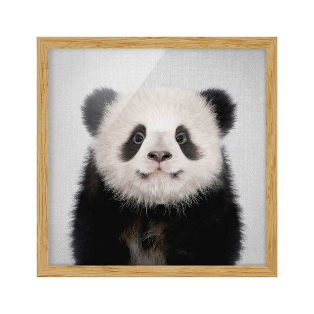 Tavlor med ram djur Baby Panda Prian