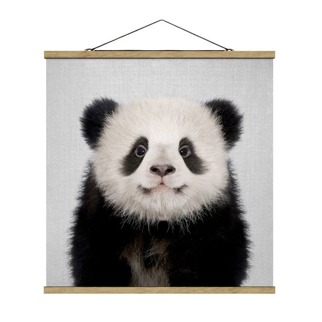 Posters djur Baby Panda Prian