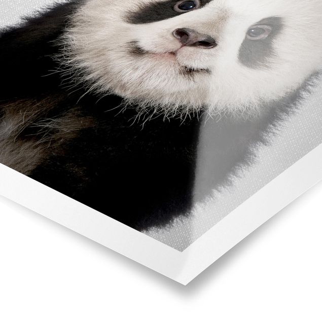 Tavlor svart och vitt Baby Panda Prian