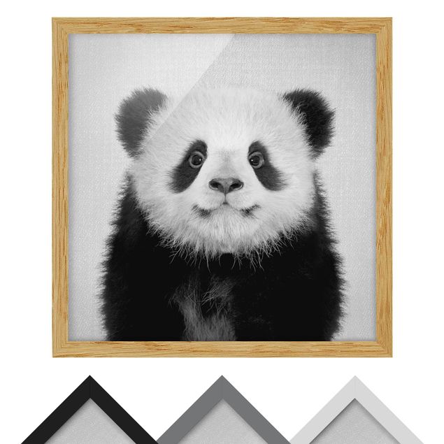 Tavlor svart och vitt Baby Panda Prian Black And White