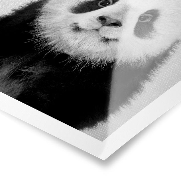 Tavlor svart och vitt Baby Panda Prian Black And White