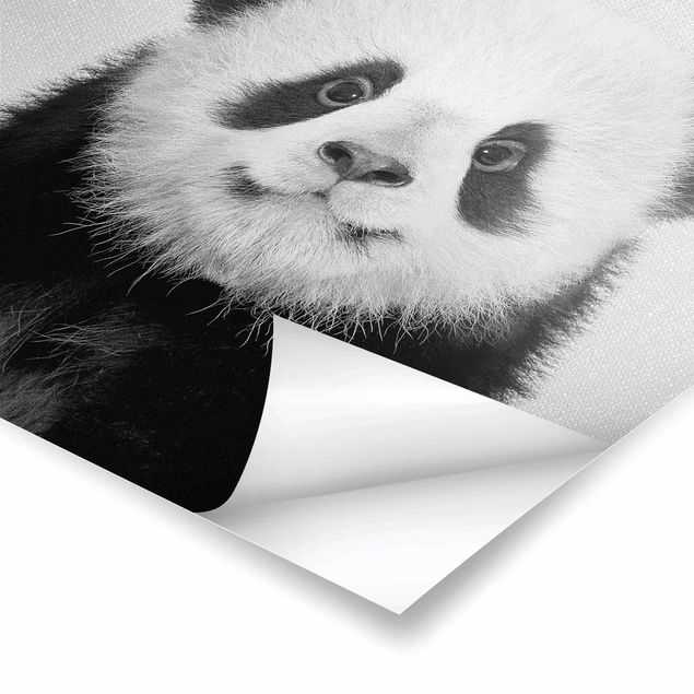 Tavlor Gal Design Baby Panda Prian Black And White