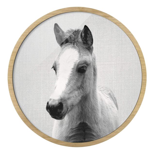 Runde Bilder mit Rahmen Baby Horse Philipp Black And White
