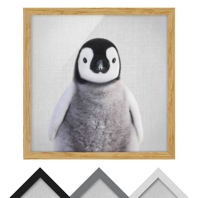 Tavlor Gal Design Baby Penguin Pepe