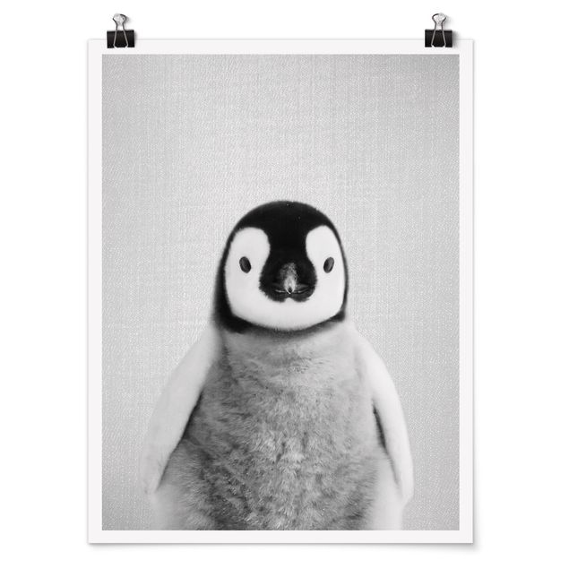 Tavlor modernt Baby Penguin Pepe Black And White