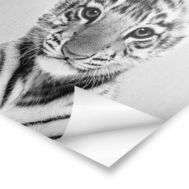 Tavlor Gal Design Baby Tiger Thor Black And White