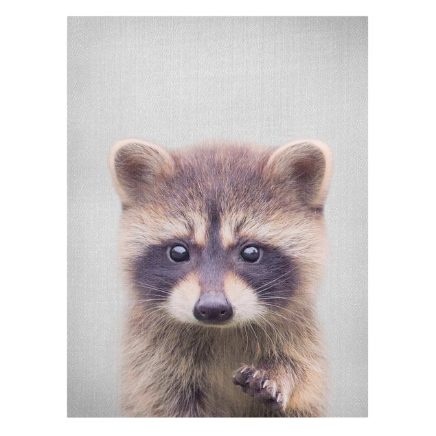 Tavlor modernt Baby Raccoon Wicky