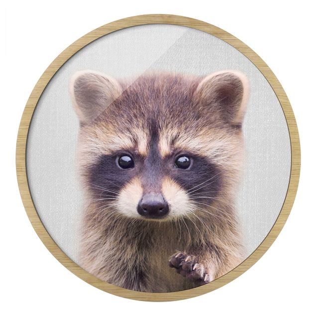 Runde gerahmte Bilder Baby Raccoon Wicky