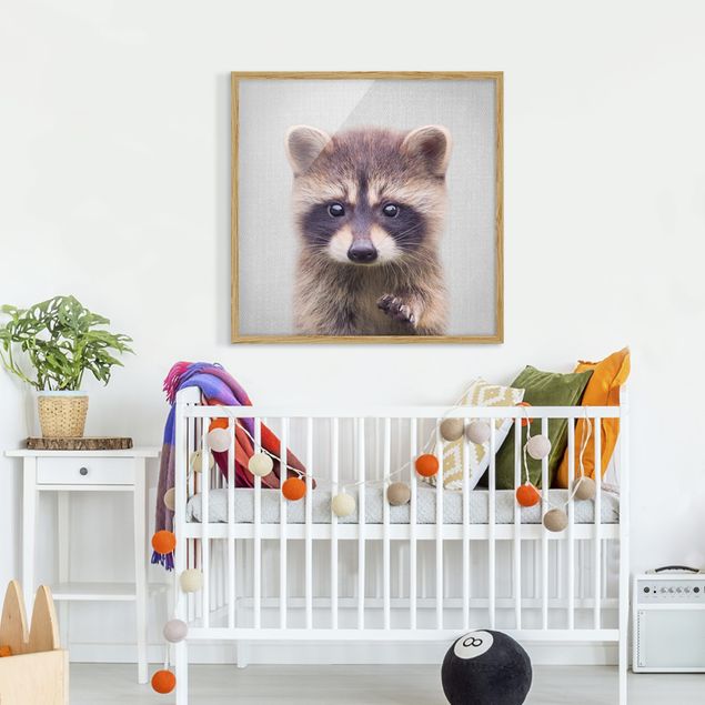 Tavlor med ram svart och vitt Baby Raccoon Wicky
