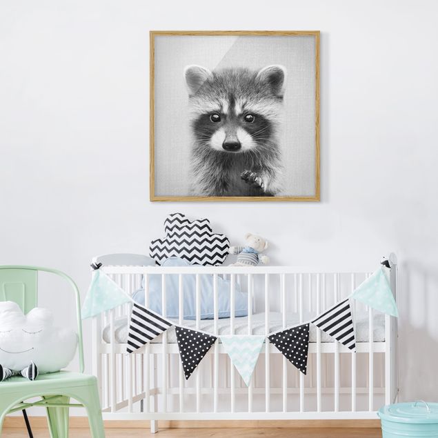 Tavlor med ram svart och vitt Baby Raccoon Wicky Black And White