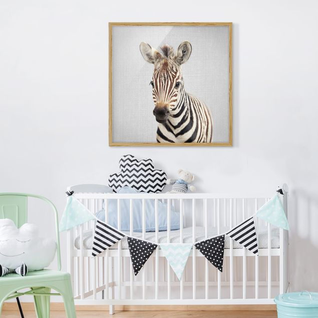 Tavlor zebror Baby Zebra Zoey