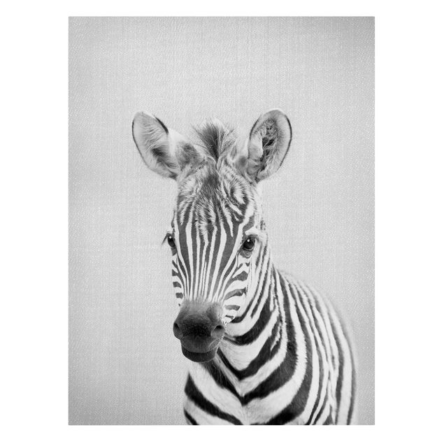 Canvastavlor svart och vitt Baby Zebra Zoey Black And White