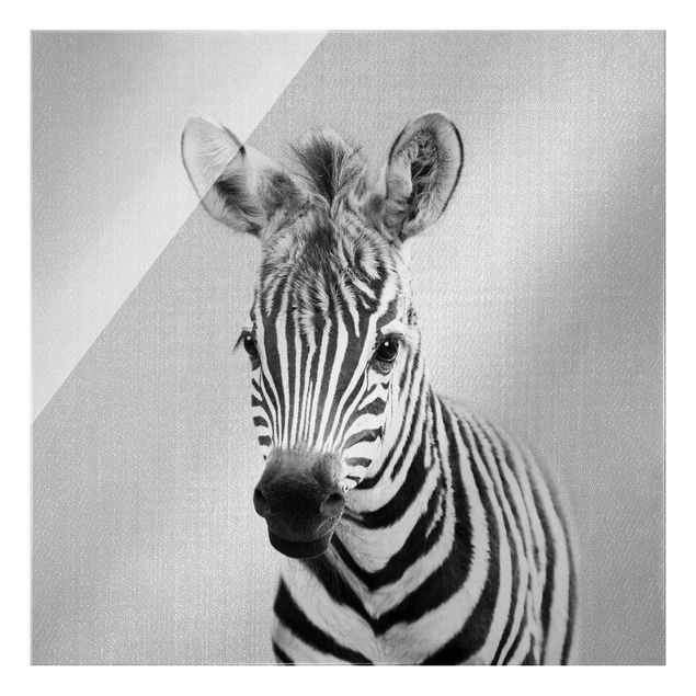 Tavlor modernt Baby Zebra Zoey Black And White