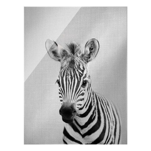Tavlor modernt Baby Zebra Zoey Black And White