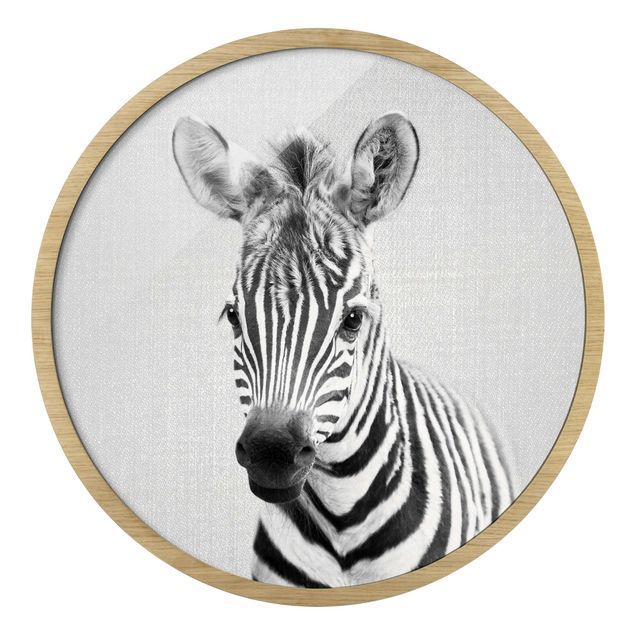 Runde Bilder mit Rahmen Baby Zebra Zoey Black And White