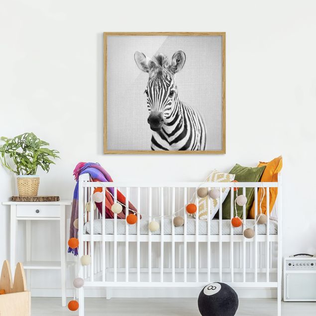 Tavlor med ram svart och vitt Baby Zebra Zoey Black And White